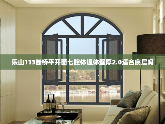 乐山113断桥平开窗七腔体通体壁厚2.0适合底层吗