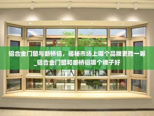 铝合金门窗与断桥铝，揭秘市场上哪个品牌更胜一筹_铝合金门窗和断桥铝哪个牌子好